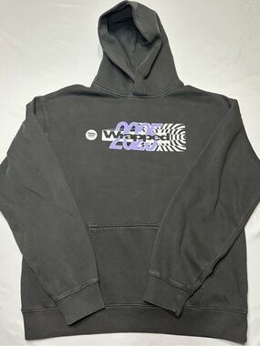 Spotify Wrapped 2025 Employee Hoodie Exclusive AS Colour Faded Relax Gray L